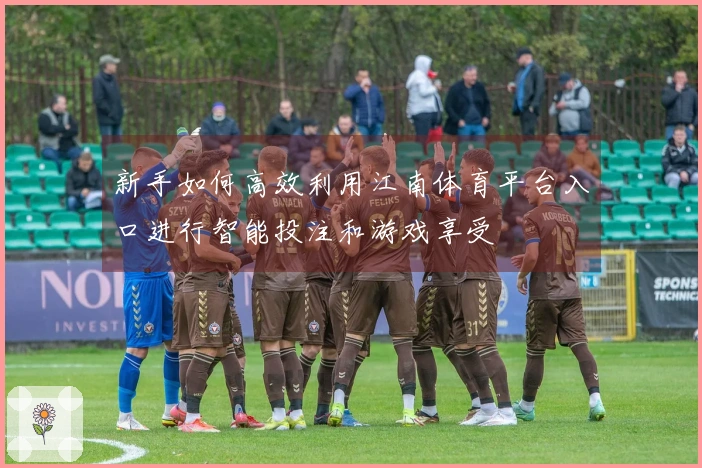 新手如何高效利用江南体育平台入口进行智能投注和游戏享受
